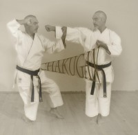 /album/fotogaleria/a885945-228046654007798-2038700781-o-jpg/