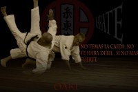 /album/fotogaleria/a5817-286358064843323-558718482-n-jpg/